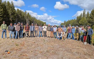 Landmark Work Party A Big Success Thanks to IAA Volunteers!